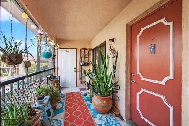 a potted plant sitting in front of a door