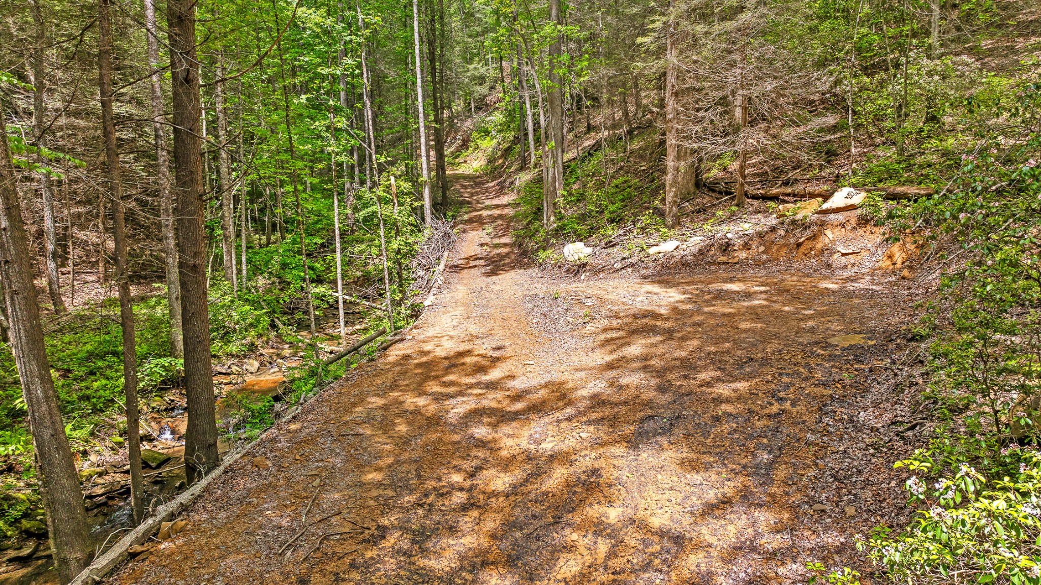 0 Dandy Road Signal Mountain, TN 37377 - Photo 23 of 40 Gallery Image 23