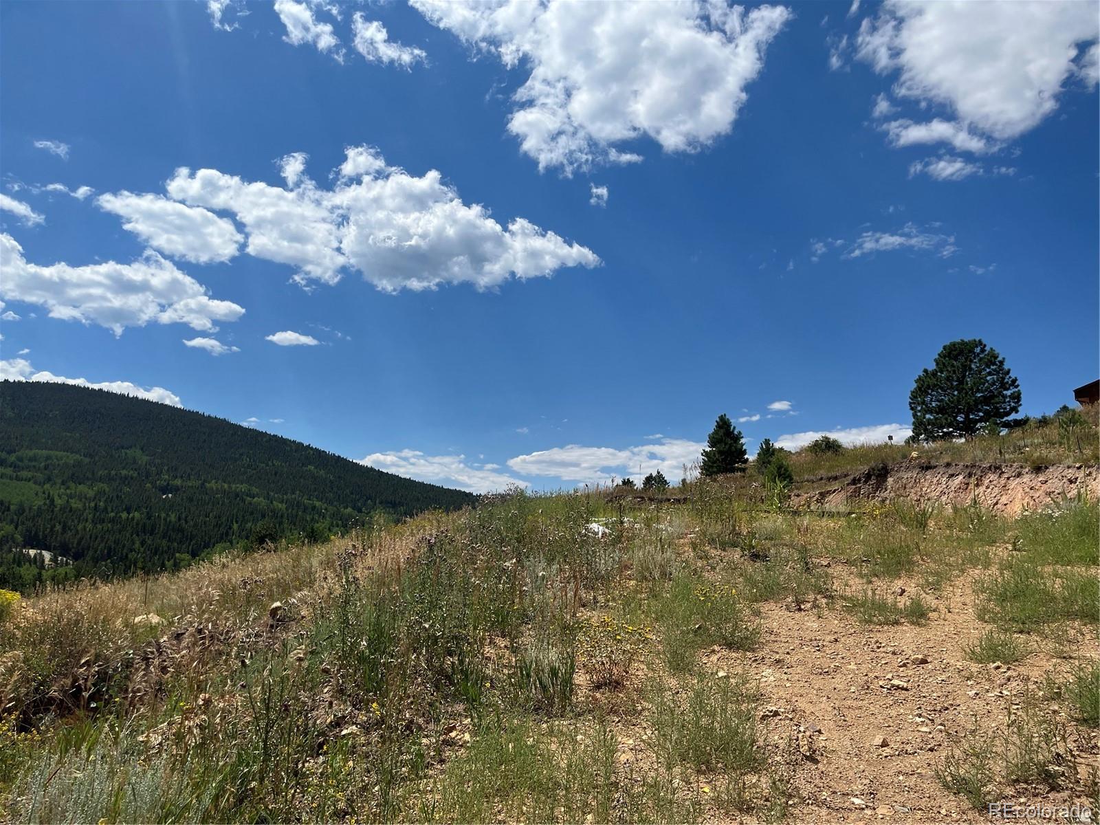795 Russell Gulch Road Central City, CO 80427 - Photo 11 of 24