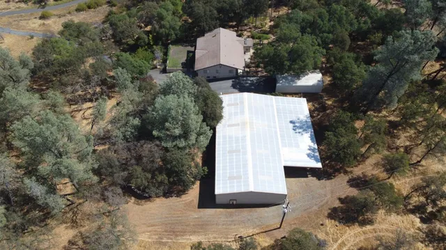 a view of a yard with plants and large trees
