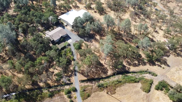 a view of a forest with trees in the background