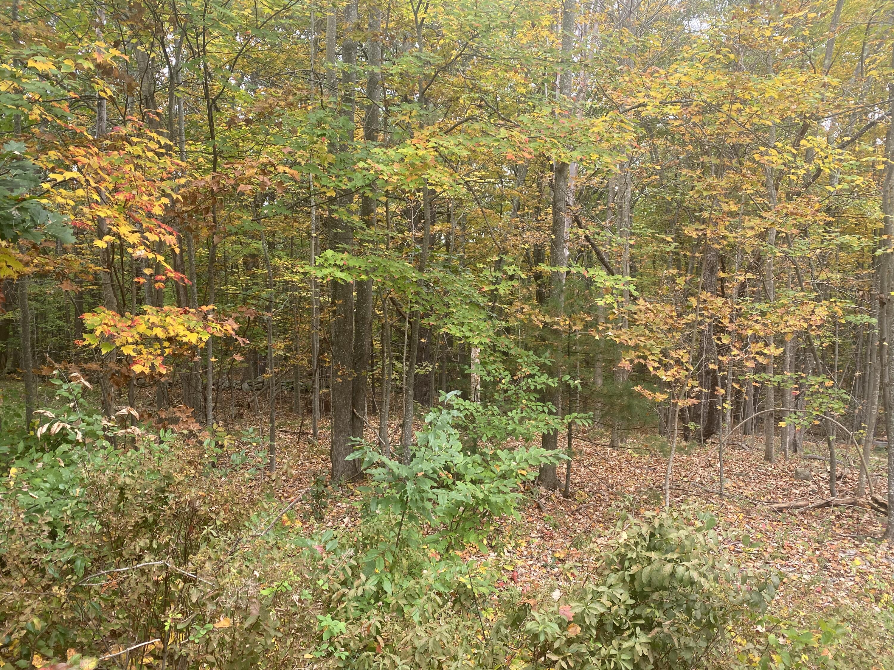 5 Old Mountain Road Cape Neddick, ME 03902 - Photo 3 of 5 IMG_7128