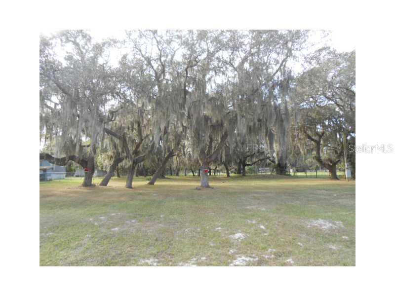 1865 Derosa Road Polk City, FL 33868 - Photo 1 of 1 Exterior Front