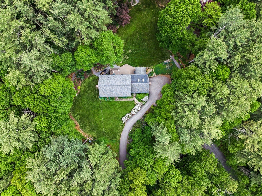 29 Pond Street Hopkinton, MA 01748 - Photo 4 of 42