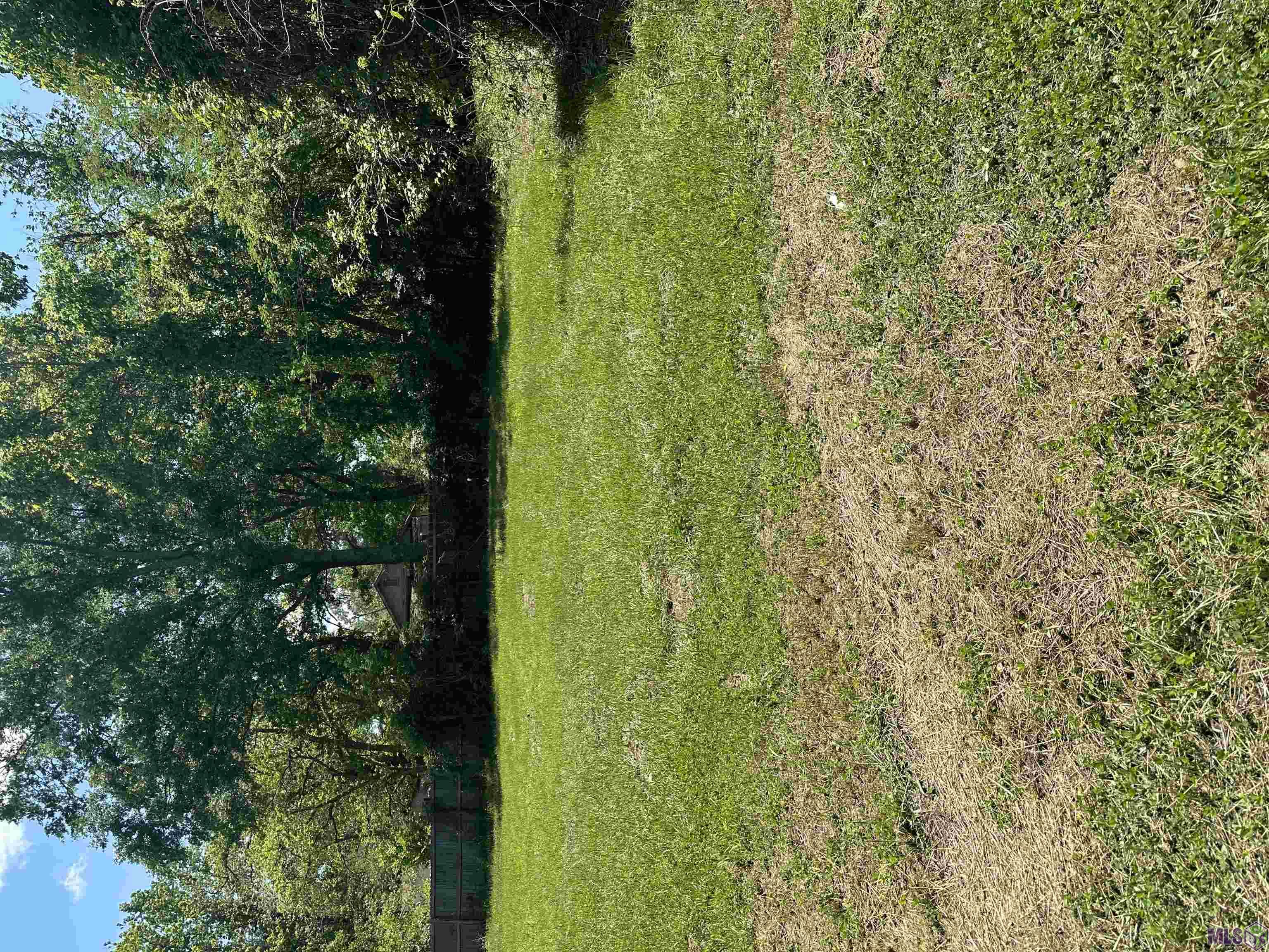 4988 Peerless Street Baton Rouge, LA 70811 - Photo 3 of 8