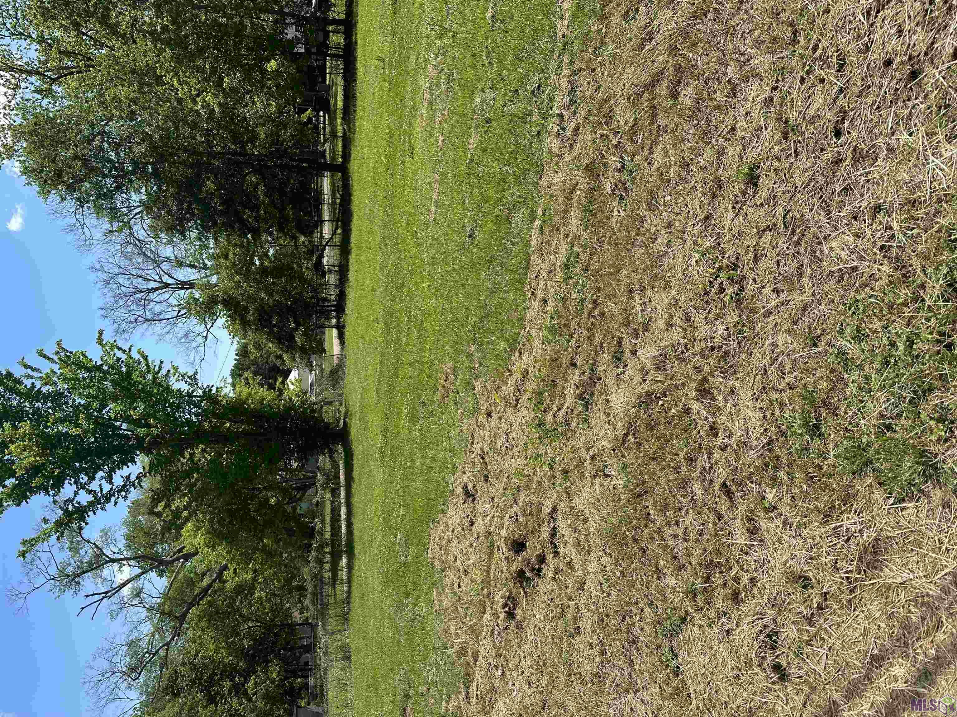 4988 Peerless Street Baton Rouge, LA 70811 - Photo 5 of 8