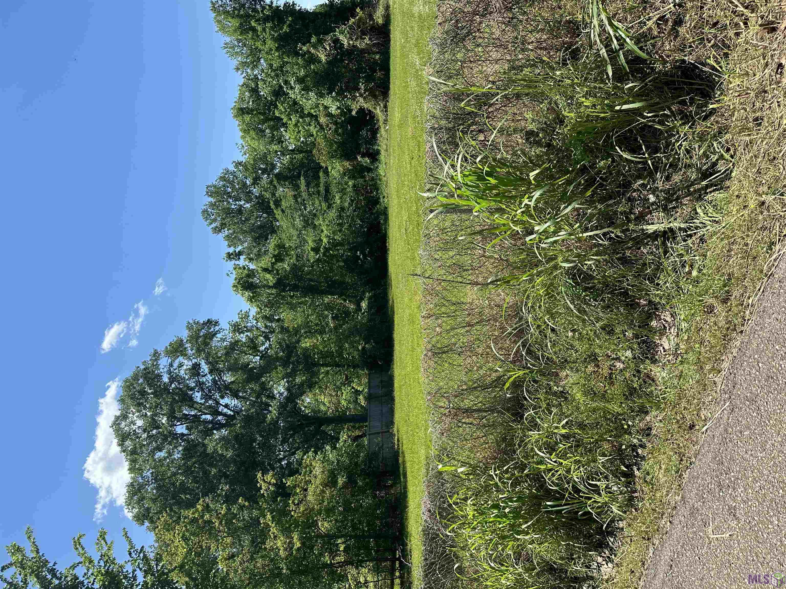 4988 Peerless Street Baton Rouge, LA 70811 - Photo 6 of 8