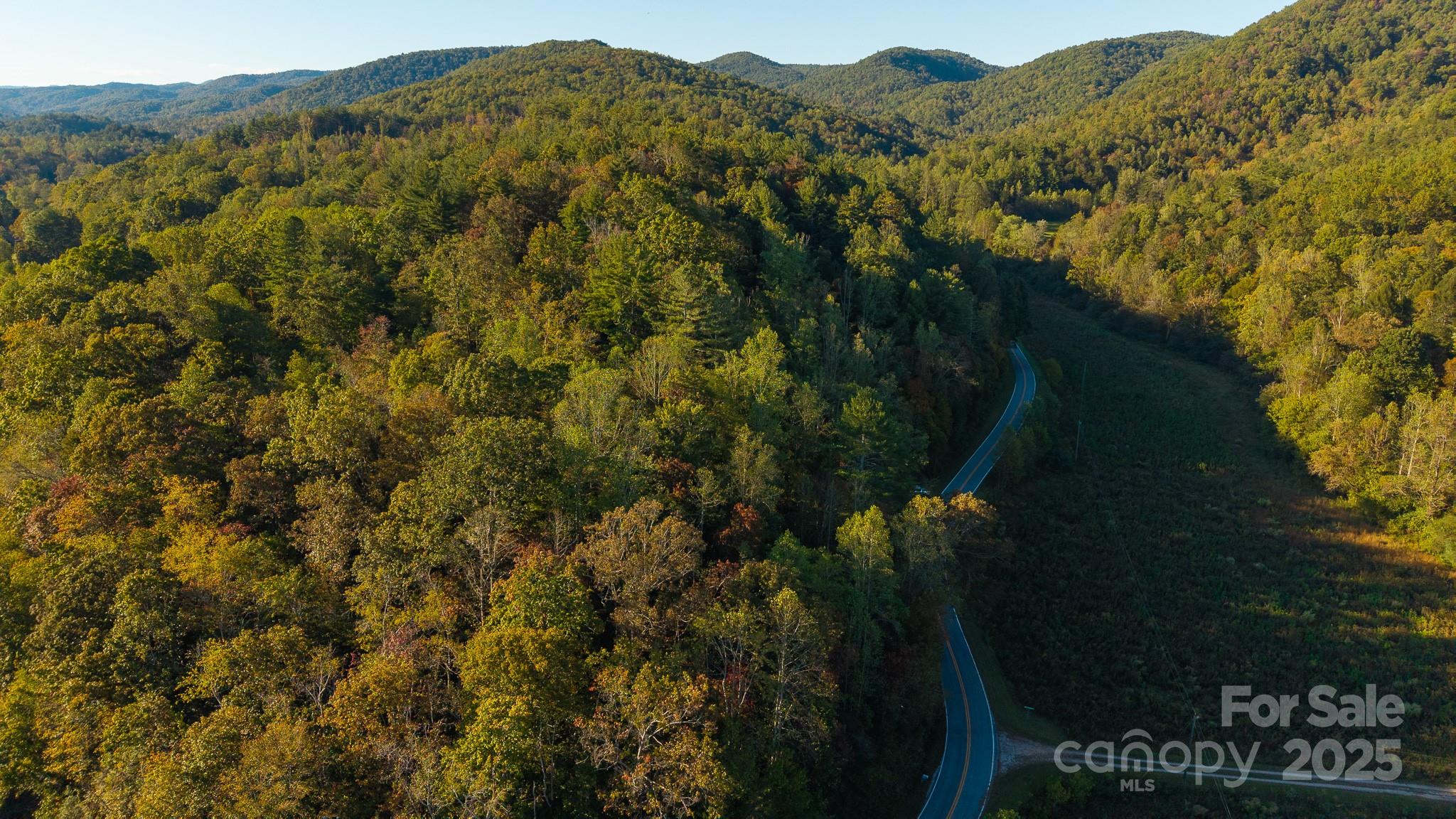 0 Shell Creek Road Ferguson, NC 28624 - Photo 7 of 28 Gallery Image 7