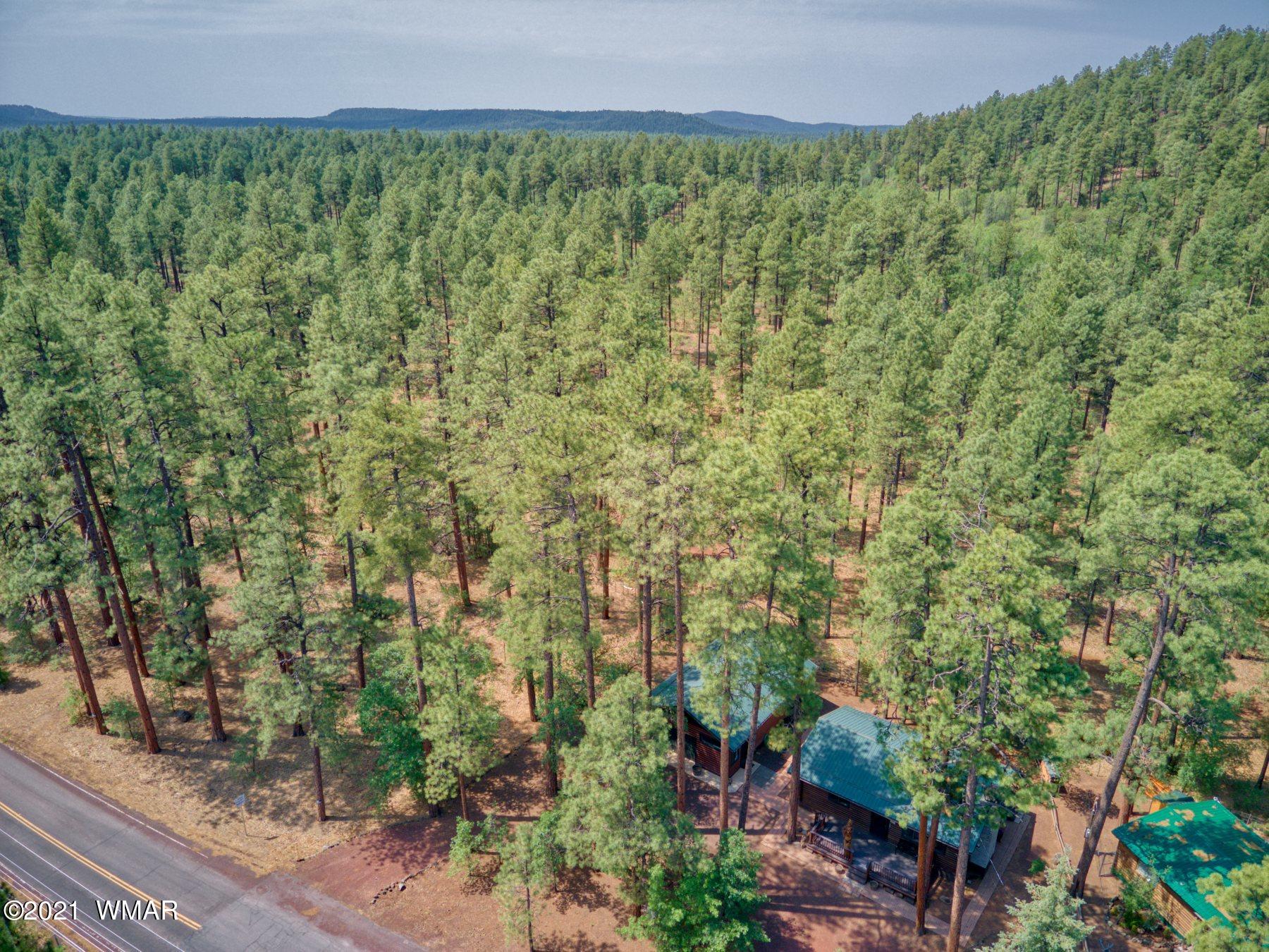 1877 East Rim Road Pinetop, AZ 85935 - Photo 2 of 16 Gallery Image 2