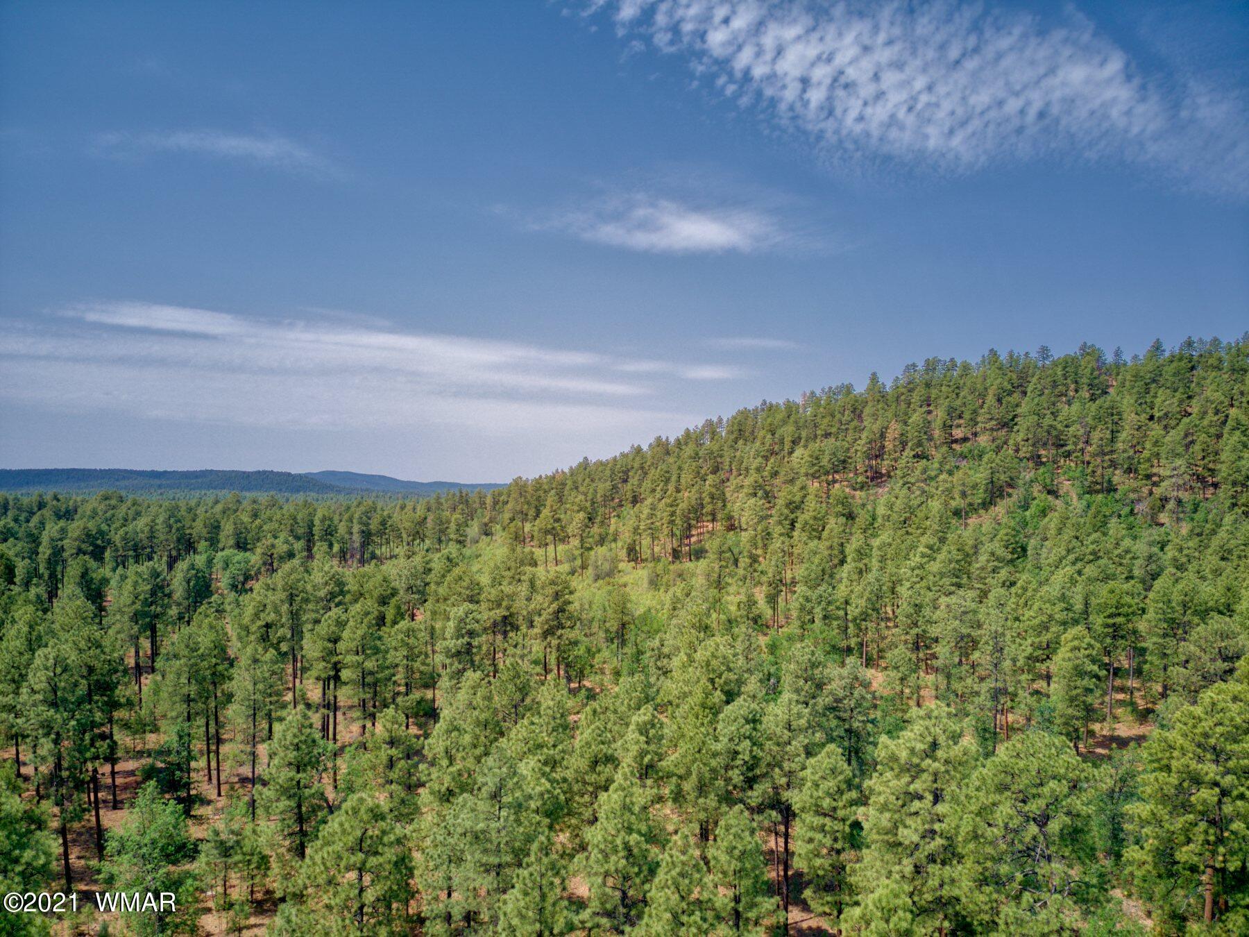 1877 East Rim Road Pinetop, AZ 85935 - Photo 3 of 16 Gallery Image 3
