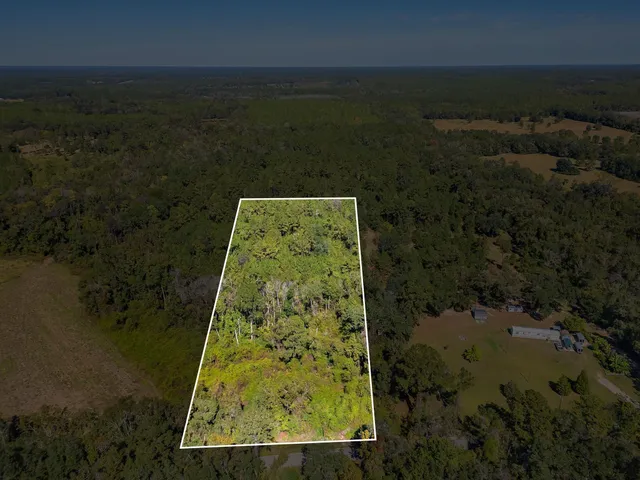 $200,000 | Tbd Barnes Road, Monticello, FL 32344