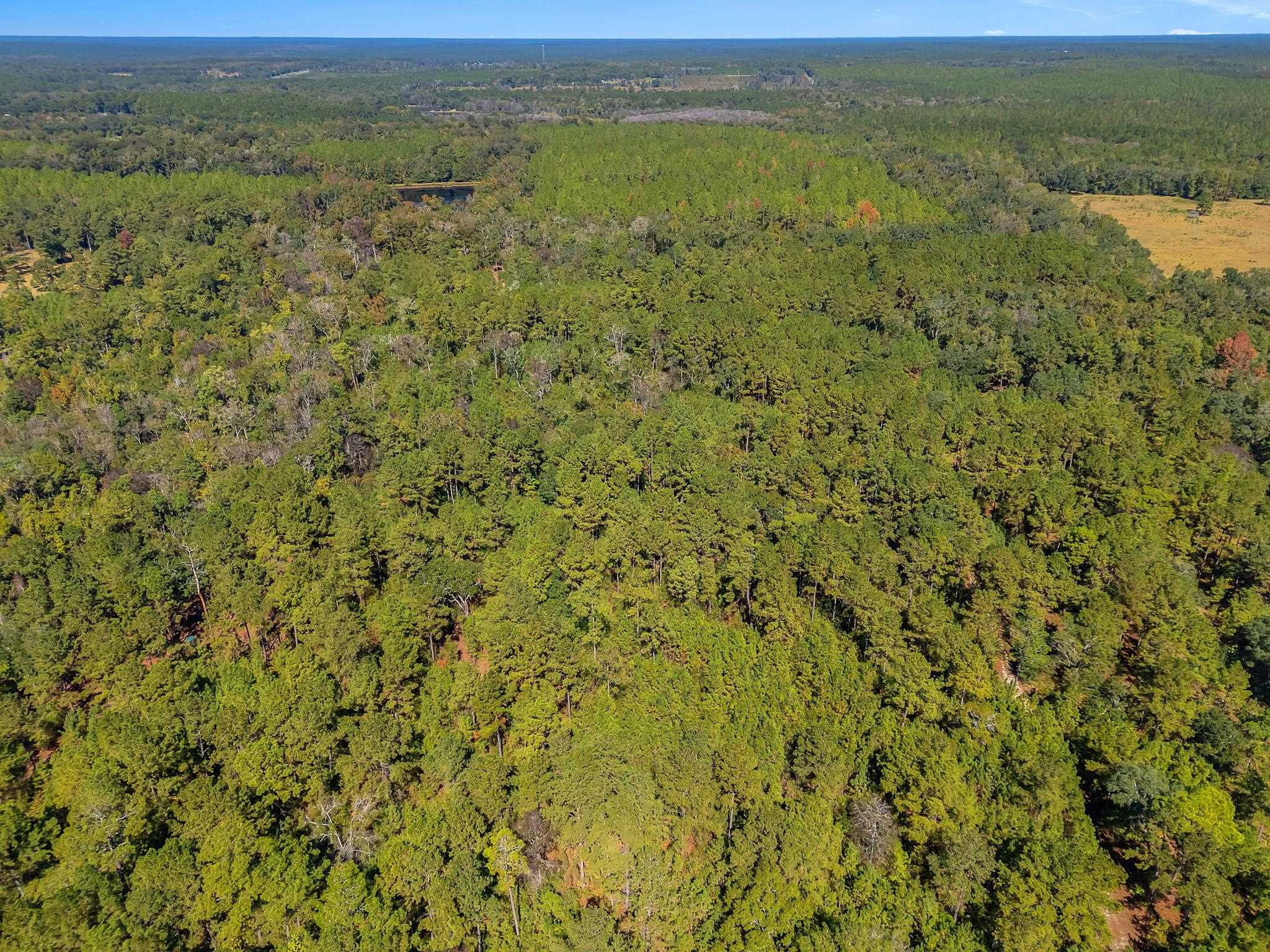 Tbd Barnes Road Monticello, FL 32344 - Photo 3 of 7