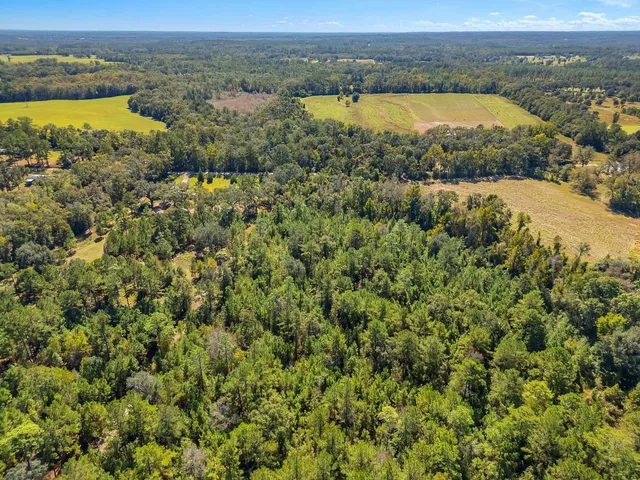 $200,000 | Tbd Barnes Road, Monticello, FL 32344