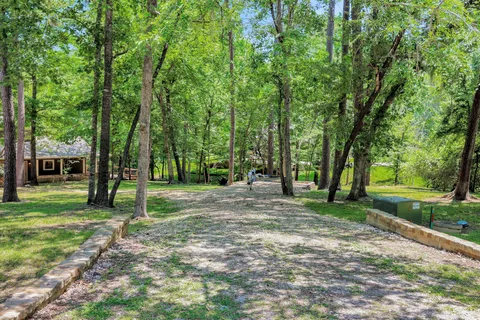 a view of a park with a tree