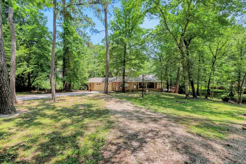 a view of a park with large trees