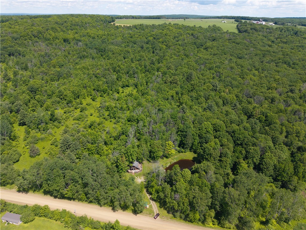 0 Schneider Road Fillmore, NY 14735 - Photo 46 of 50