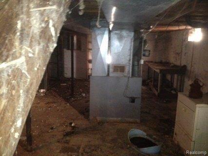 10498 Stelzer Road Howell, MI 48855 - Photo 4 of 8 Basement.JPG