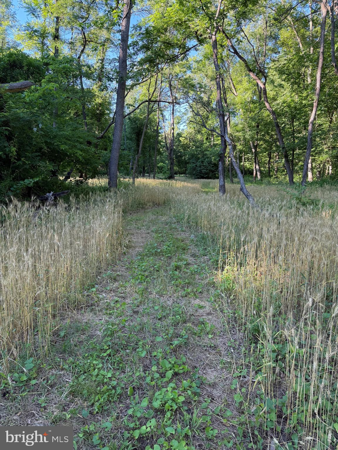16621 Lappans Road Williamsport, MD 21795 - Photo 83 of 84 Ride your ATV!