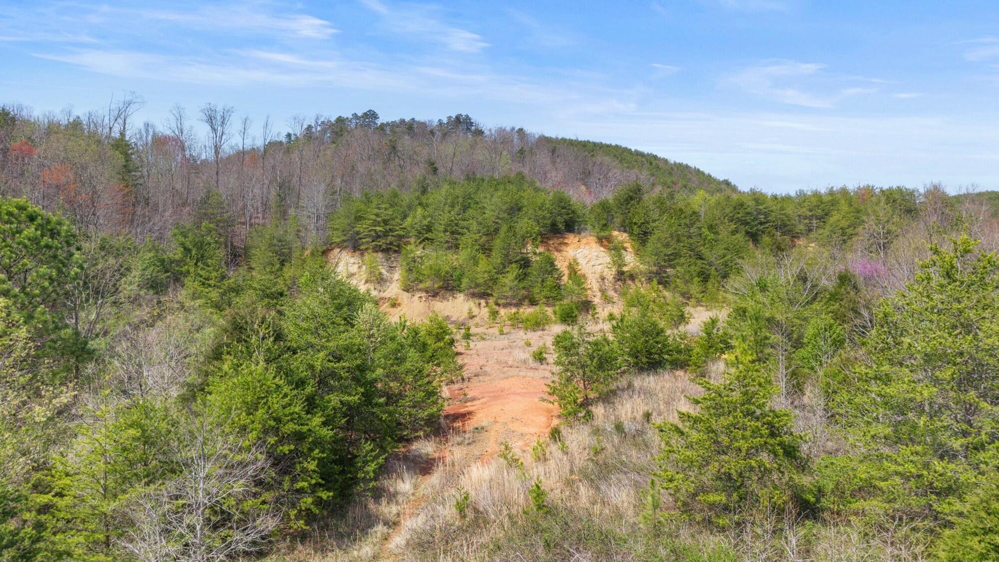 0 Harrison Pike Southwest McDonald, TN 37353 - Photo 1 of 26