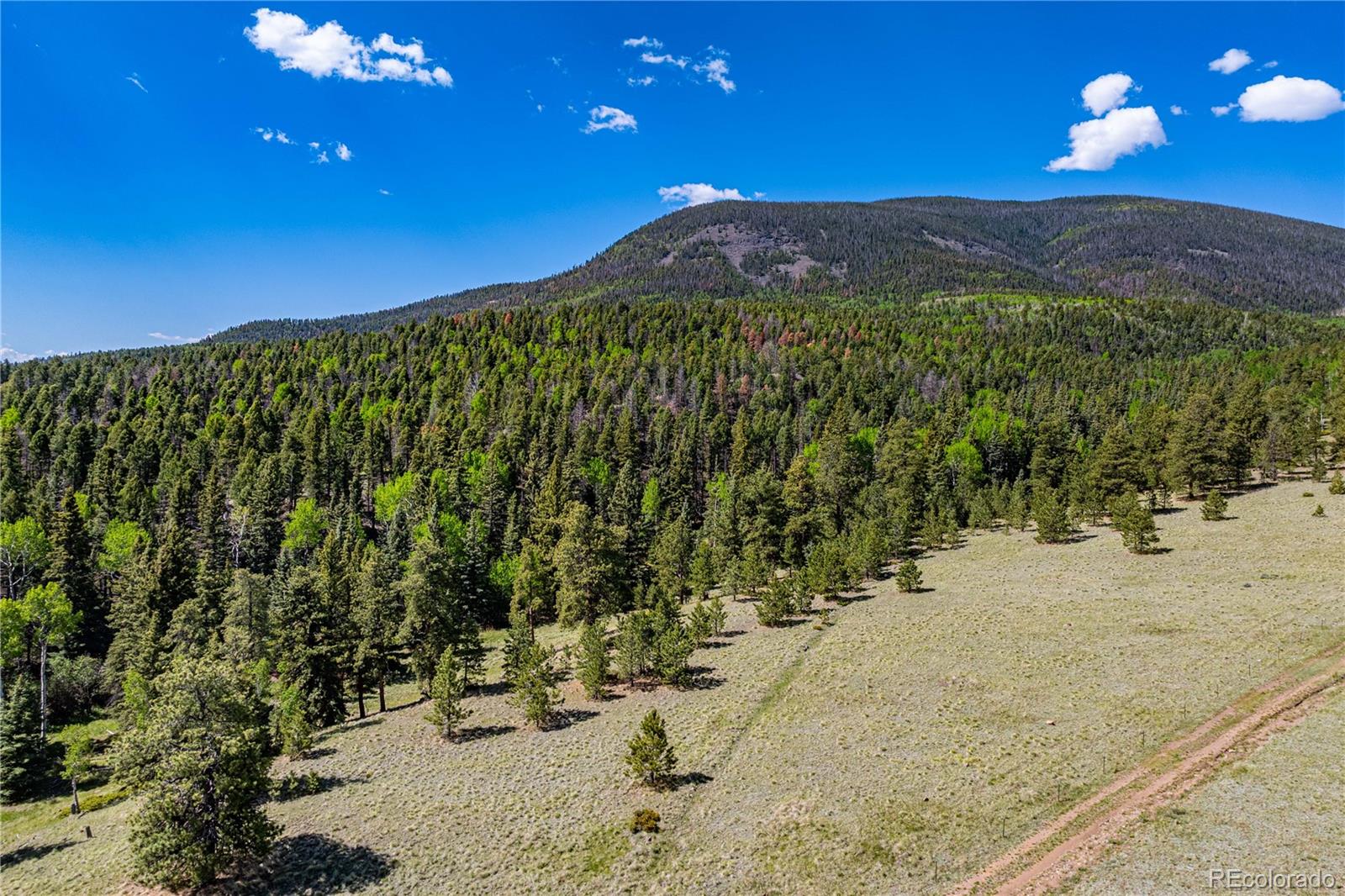 298 Steven Road Canon City, CO 81212 - Photo 2 of 35