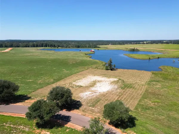 a view of back yard of the house