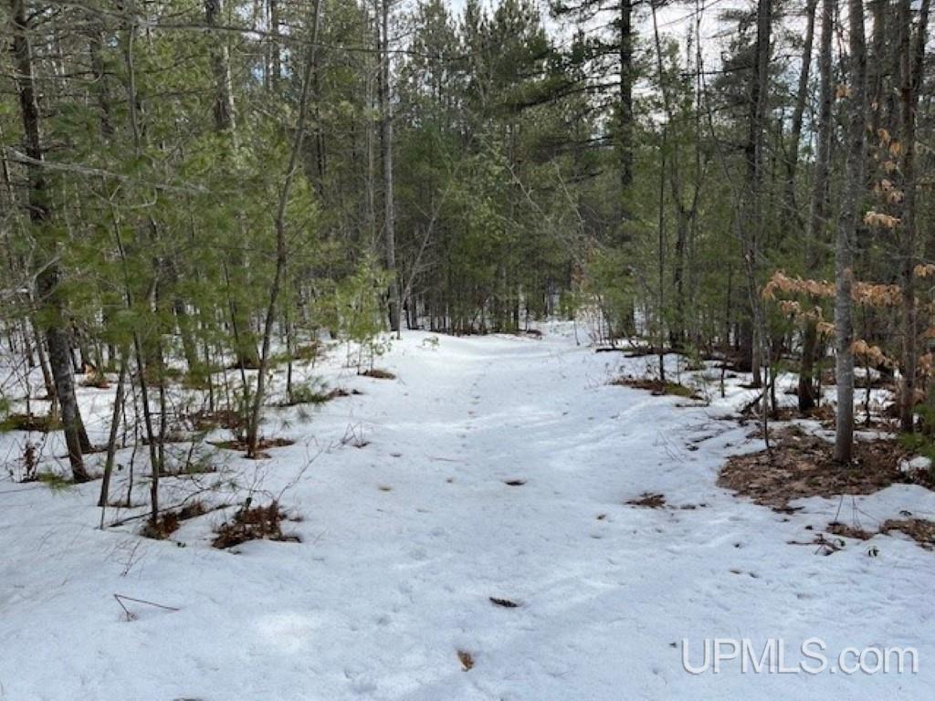 Lot 7 Powell Lake Road Wetmore, MI 49895 - Photo 12 of 16