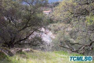 3 August Drive Three Rivers, CA 93271 - Photo 3 of 6 Additional Photo
