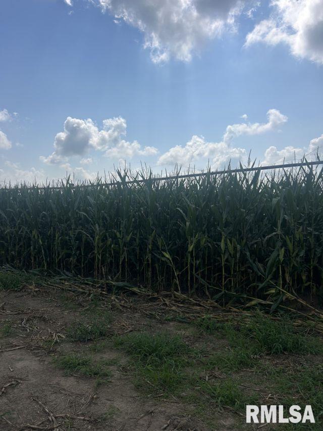 0 East 600 Road Kilbourne, IL 62655 - Photo 3 of 8