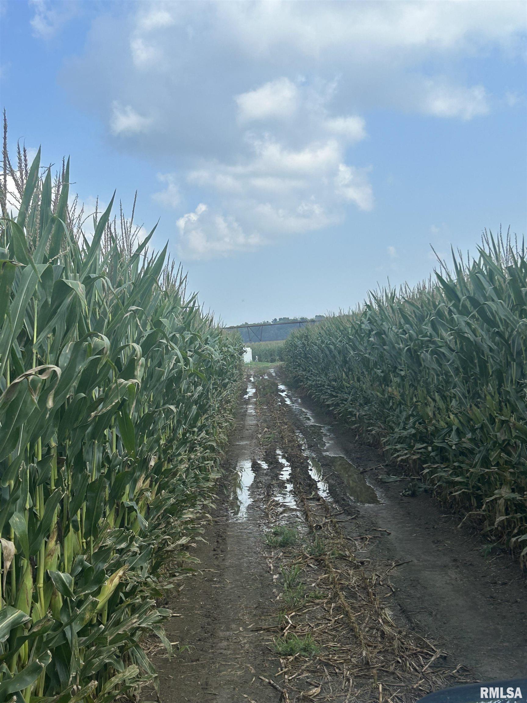 0 East 600 Road Kilbourne, IL 62655 - Photo 7 of 8