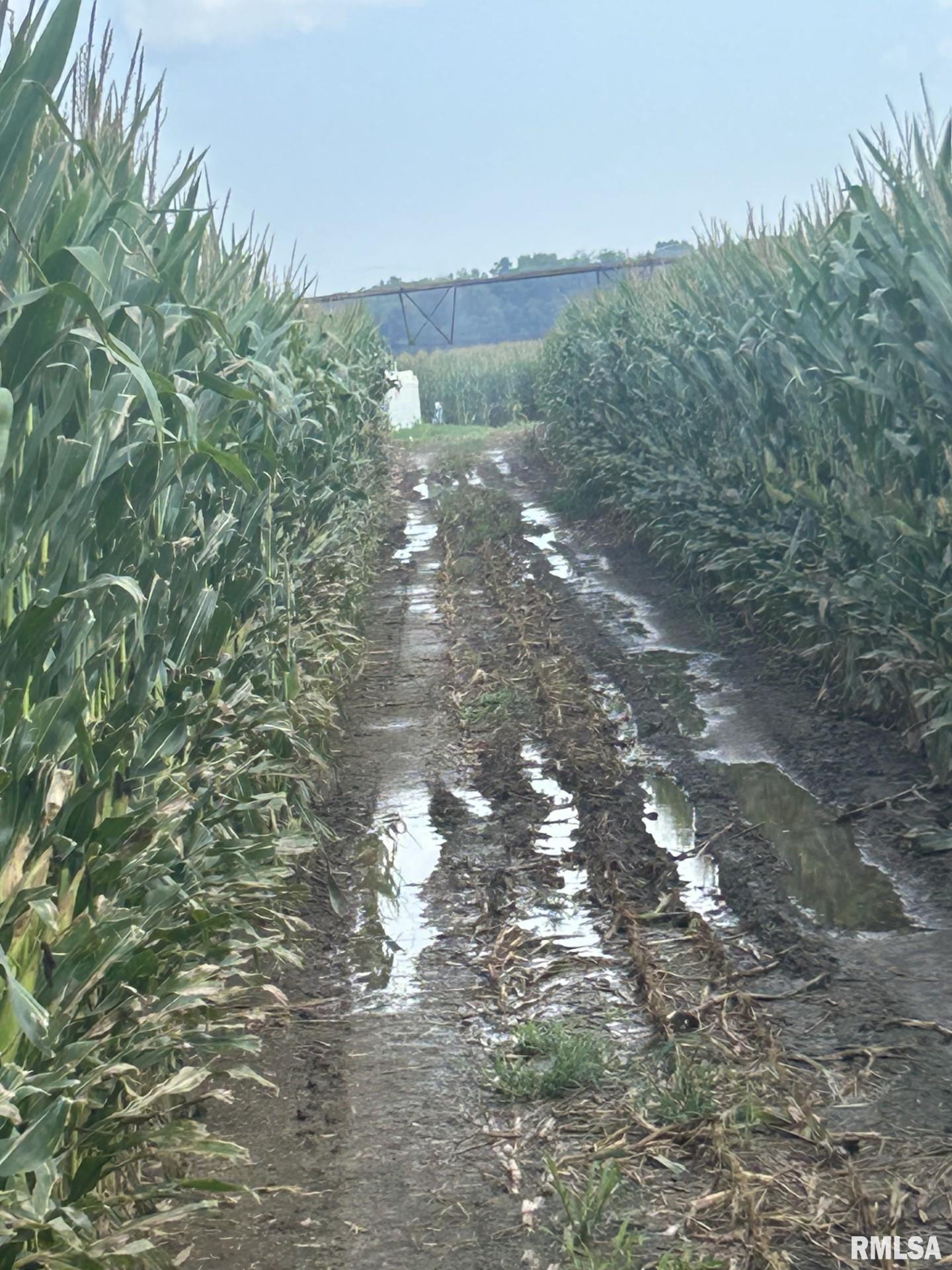 0 East 600 Road Kilbourne, IL 62655 - Photo 8 of 8