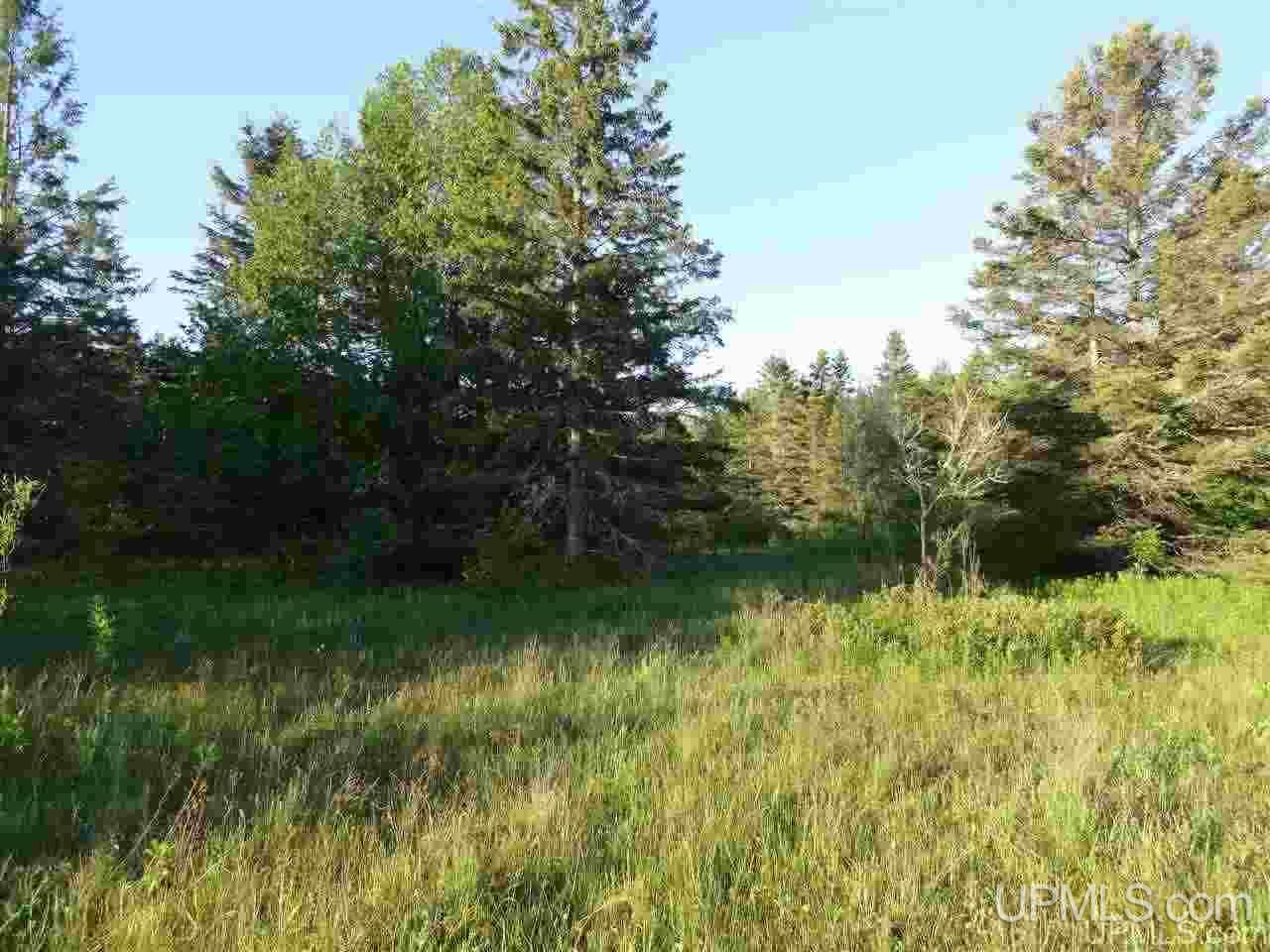11918 T Road Rapid River, MI 49878 - Photo 7 of 49 Gallery Image 7