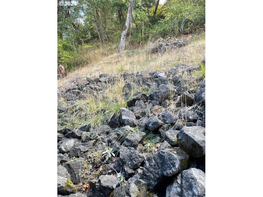 720 Southside Road Sutherlin, OR 97479 - Photo 24 of 24 Gallery Image 24