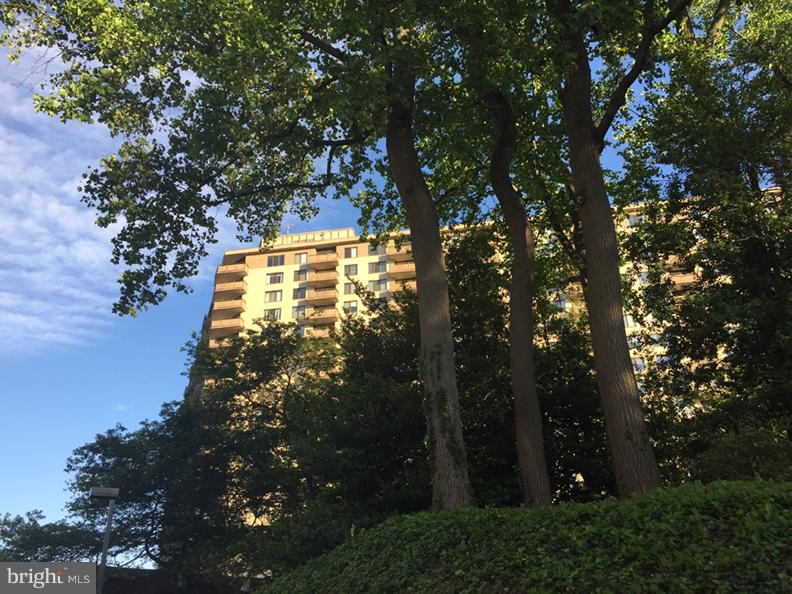 5225 Pooks Hill Road, Unit 620N Bethesda, MD 20814 - Photo 2 of 16 a view of a large tree