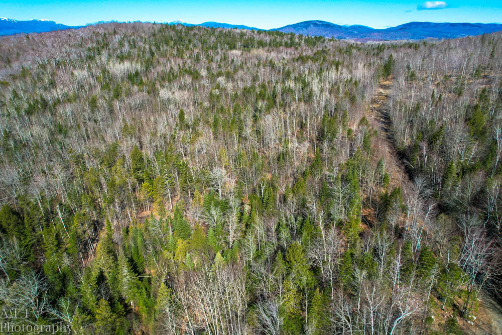 Tbd Tbd Trinity Farm Road New Portland, ME 04961 - Photo 25 of 51 - ATT