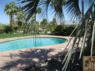 70248 Calico Road Rancho Mirage, CA 92270 - Photo 8 of 9 a view of a backyard with plants