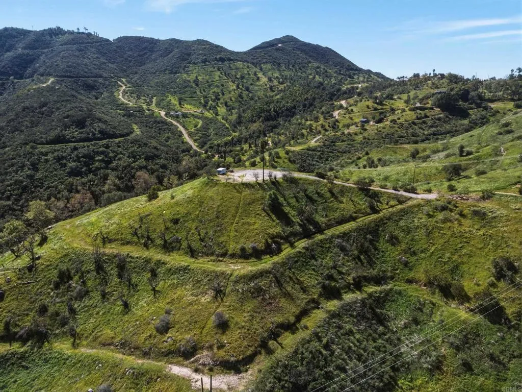 10148 Alex Fallbrook, CA 92028 - Photo 12 of 22 a view of a forest with a forest