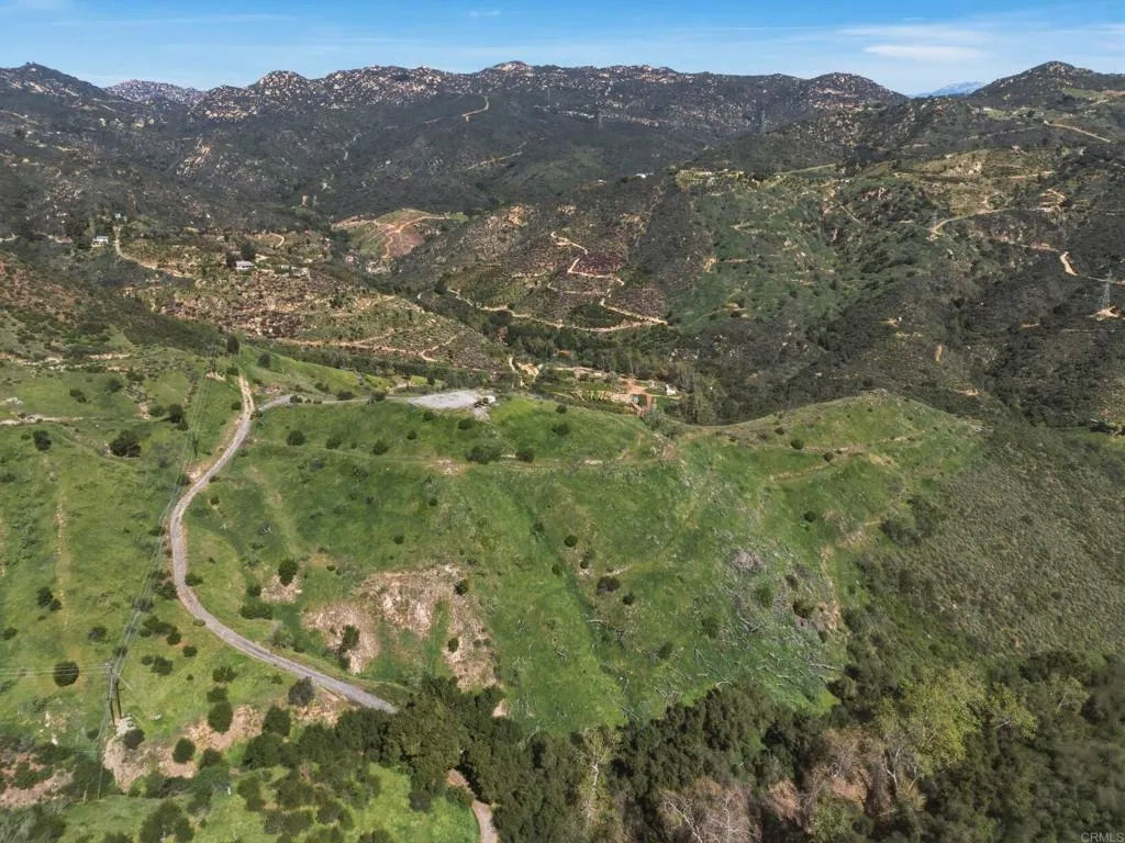 10148 Alex Fallbrook, CA 92028 - Photo 14 of 22 a view of a forest with a mountain
