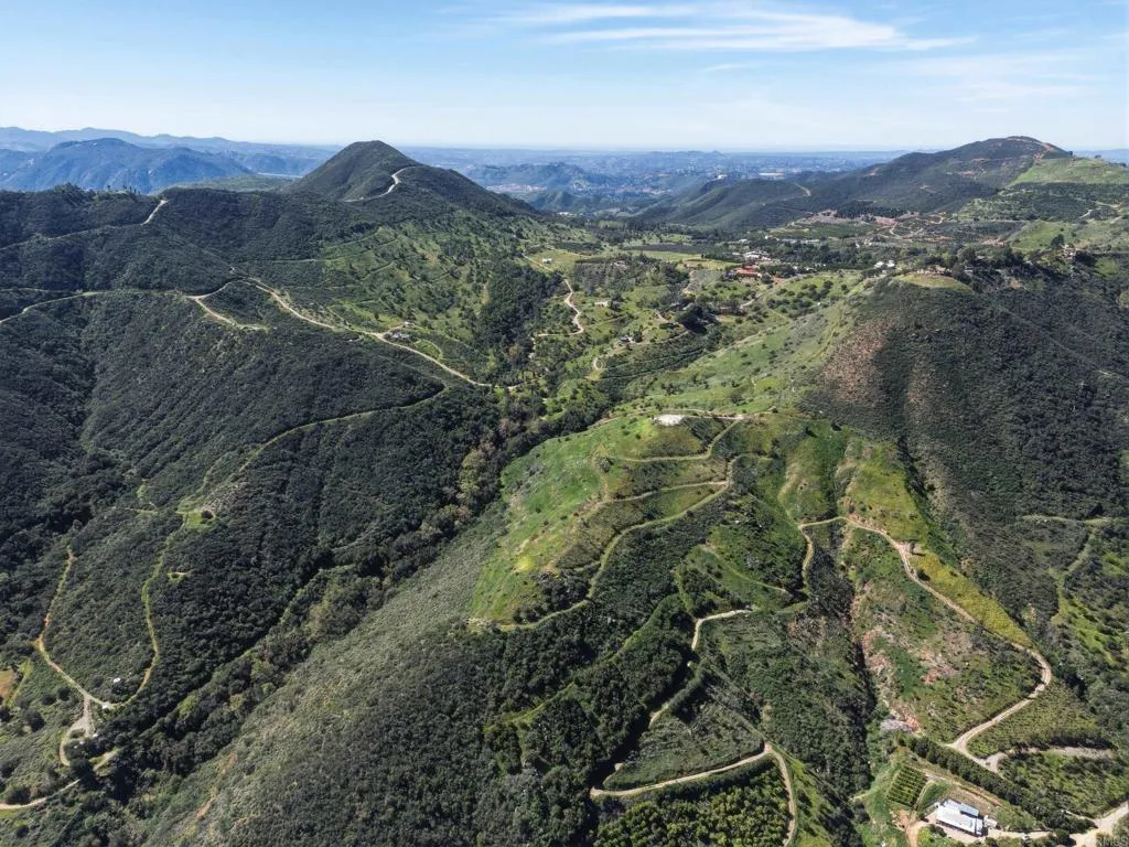 10148 Alex Fallbrook, CA 92028 - Photo 20 of 22 an aerial view of residential house and green space