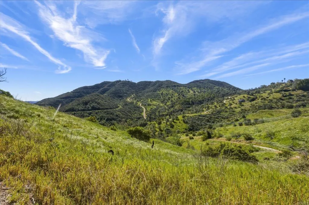 10148 Alex Fallbrook, CA 92028 - Photo 6 of 22 a view of a lush green forest with mountains in the background