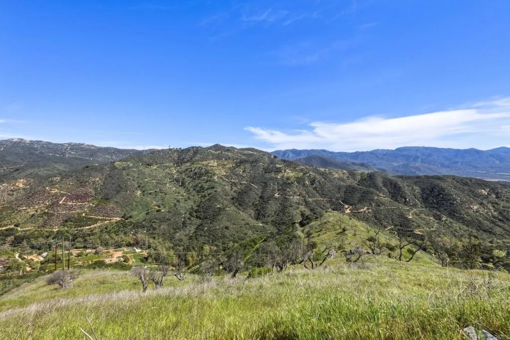 10148 Alex Fallbrook, CA 92028 - Photo 8 of 22 a view of a city with lush green forest