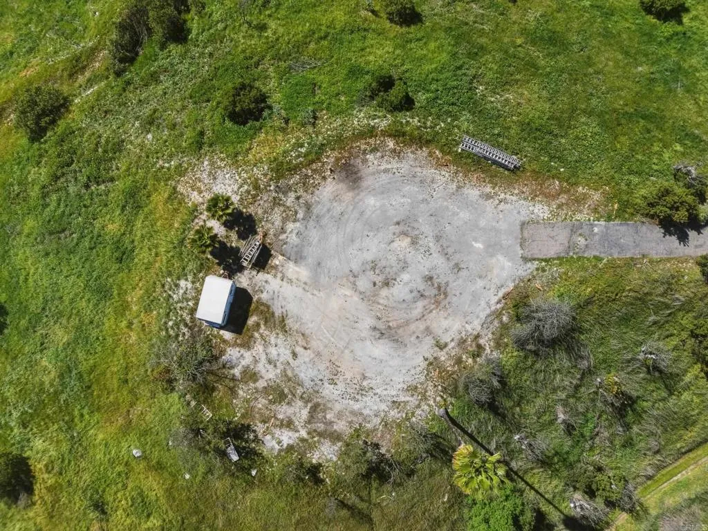 10148 Alex Fallbrook, CA 92028 - Photo 9 of 22 a close up of a plant in a garden