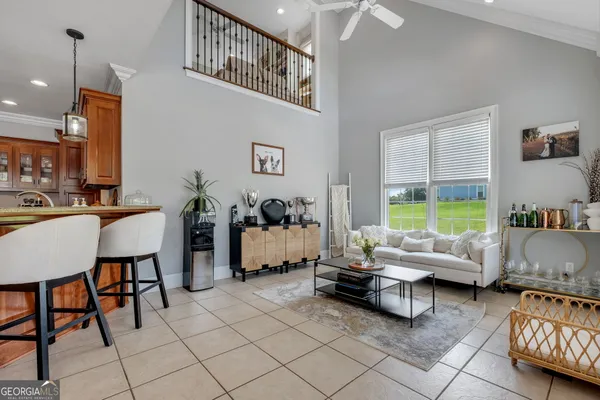 a view of a park with large trees