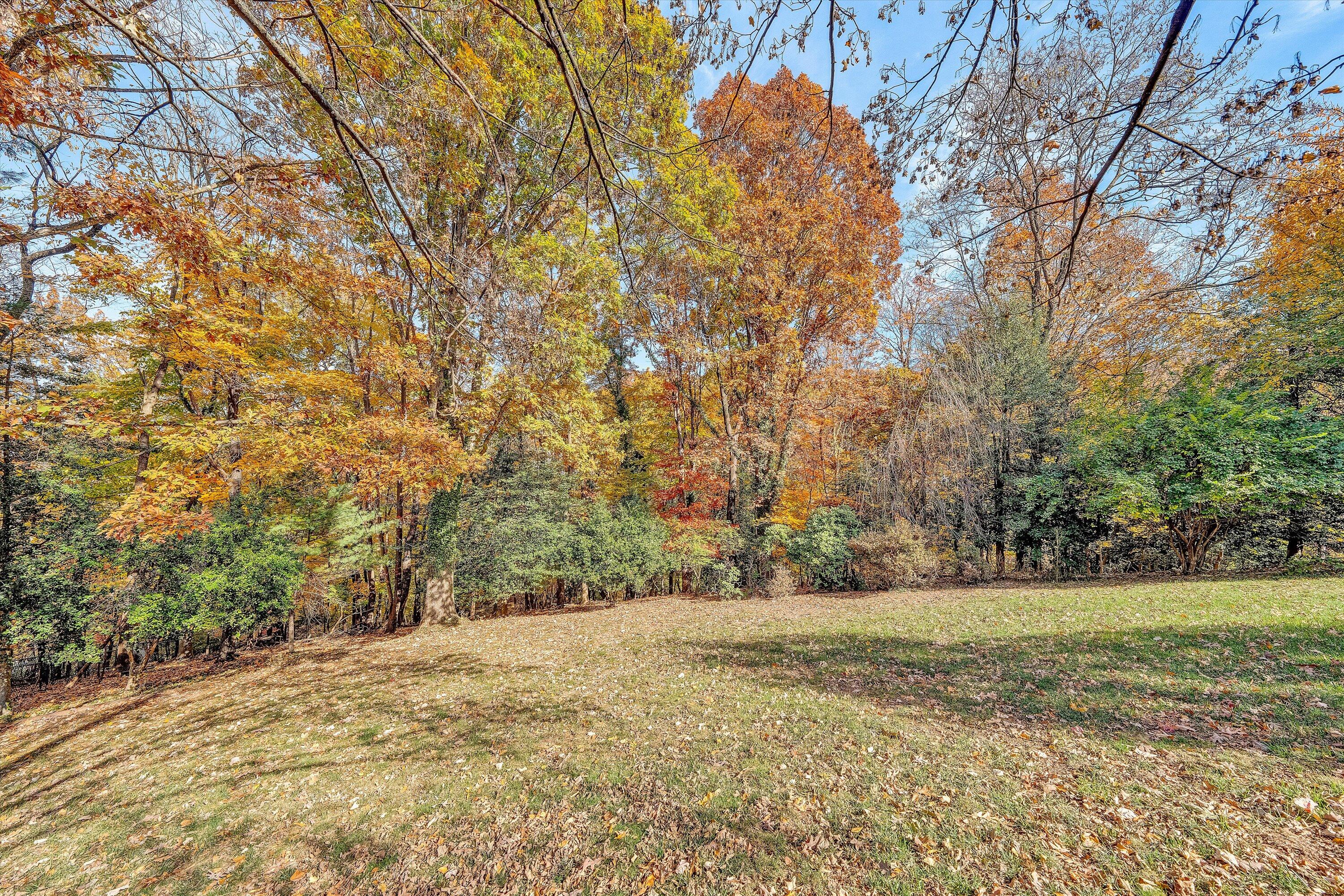 727 White Oak Road Southwest Roanoke, VA 24014 - Photo 47 of 52 a view of dirt yard with a trees