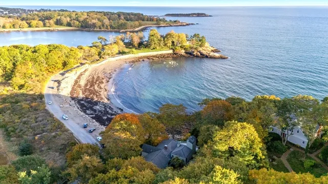 a view of a yard with potted plants