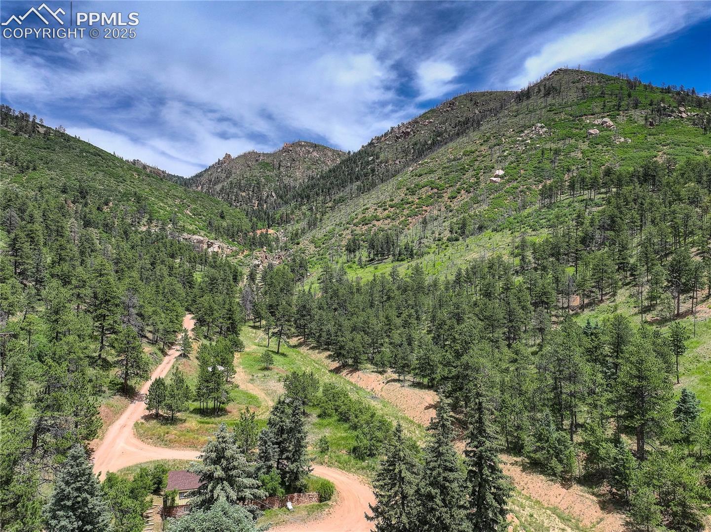 6085 Wellington Road Cascade, CO 80809 - Photo 5 of 13 Perfect natural setting