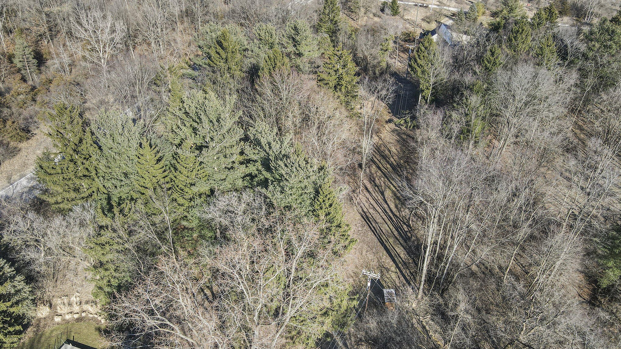 2972 Gale Road Ann Arbor, MI 48105 - Photo 49 of 50 049_3
