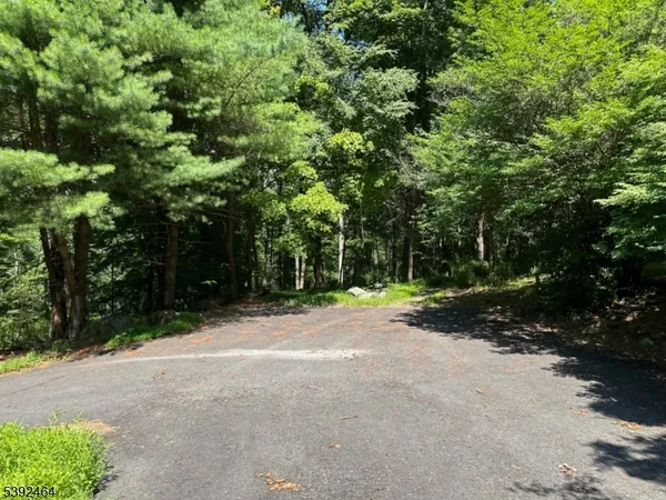 a view of a road with trees in the background