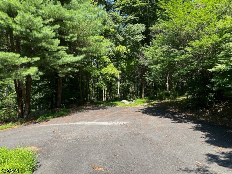 54 Water Street Lebanon, NJ 08833 - Photo 4 of 46