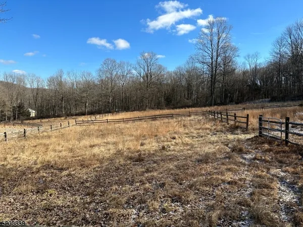 a view of yard with trees