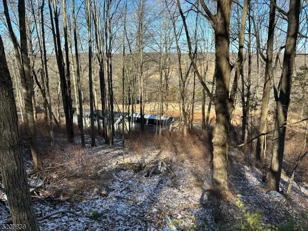 a view of outdoor space with lots of trees